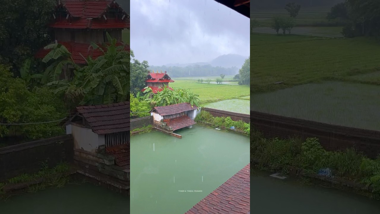 Monsoon Enhances Kerala’s Natural Beauty