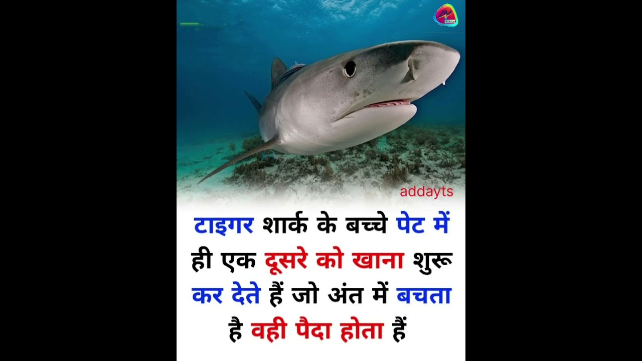 GK Questions & Answers in Hindi for SSC & RRB 📚