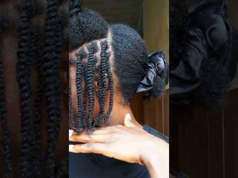 Fluffy Mini Twist for Natural Hair ✨