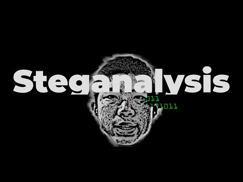 Secrets of The Internet | Steganography