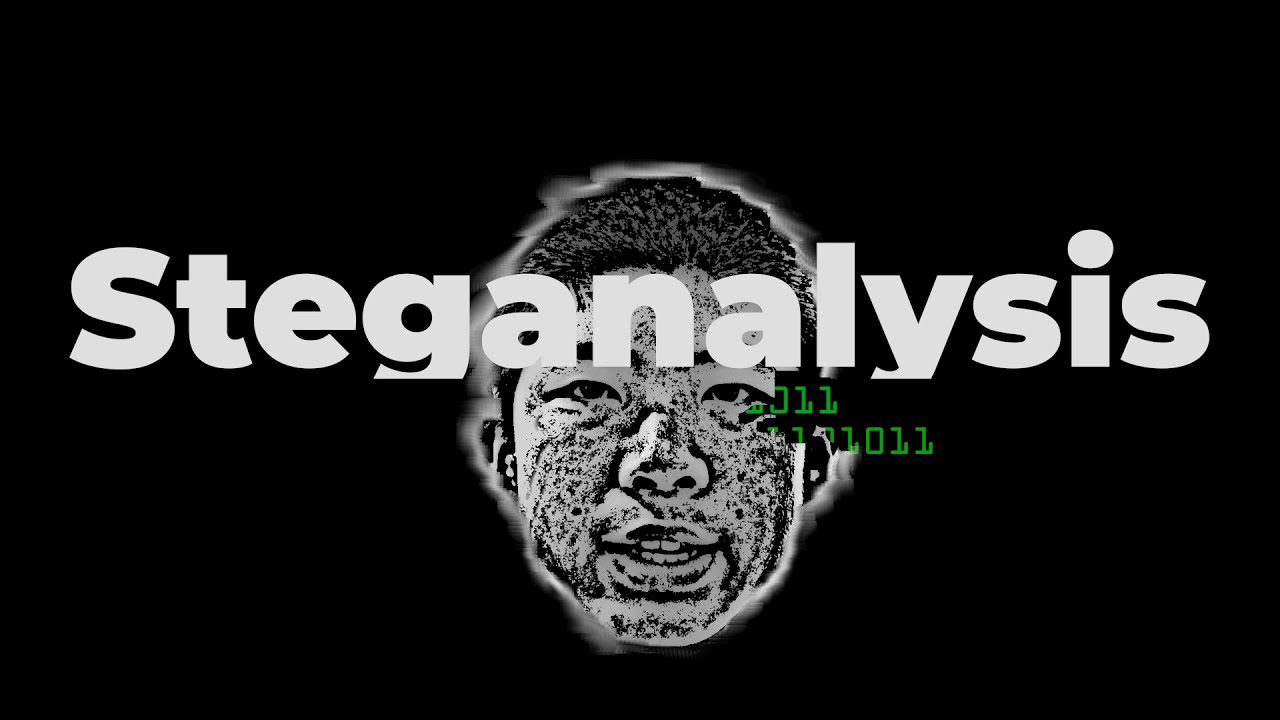 Uncover Hidden Messages: The Secrets of Internet Steganography 🔍