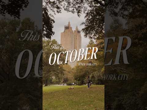 this is october in new york city 🍁🌇🍂