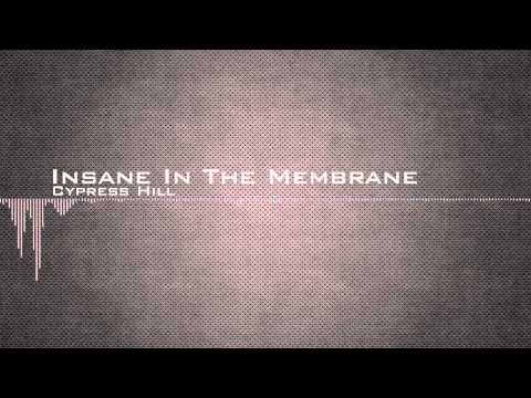 Cypress Hill - Insane In The Membrane [HD]