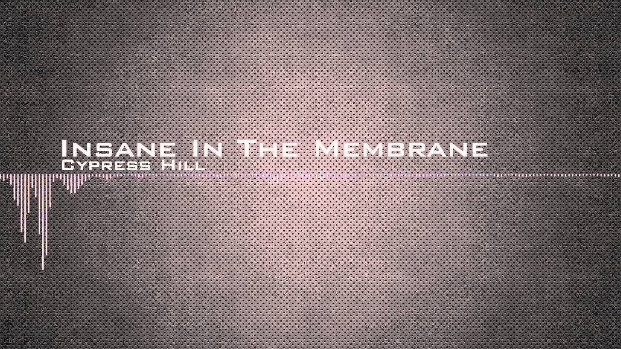 Cypress Hill - Insane In The Membrane [HD] | Classic Hip-Hop Track