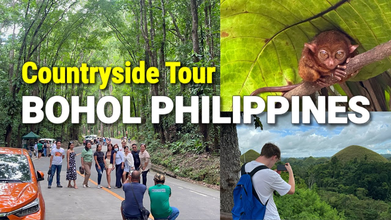 Bohol Philippines Tourist Spots | Chocolate Hills, Tarsier & More - Countryside Tour