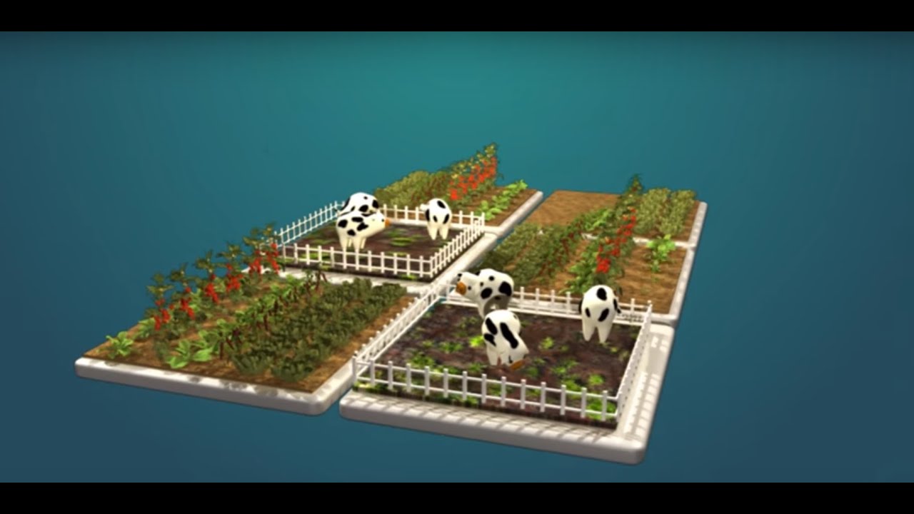 What is the Environmental Impact of Feeding the World? | California Academy of Sciences