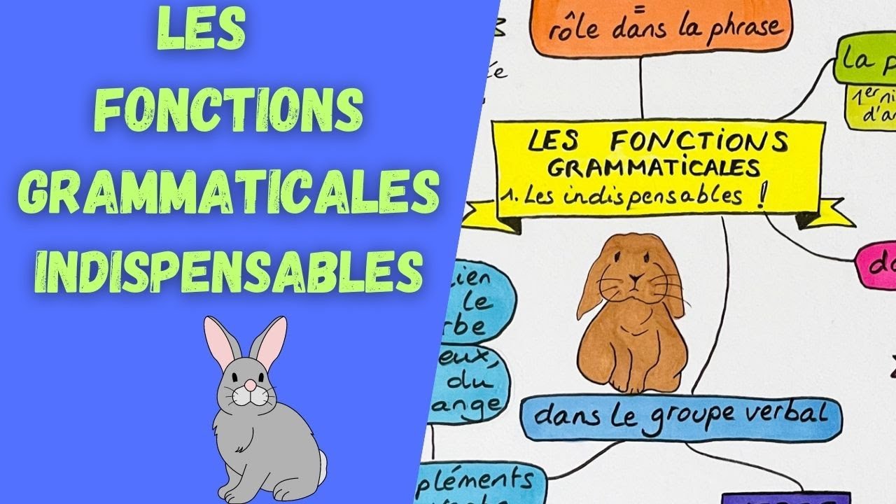 LES 7 Les 7 Fonctions Grammaticales Essentielles 📚