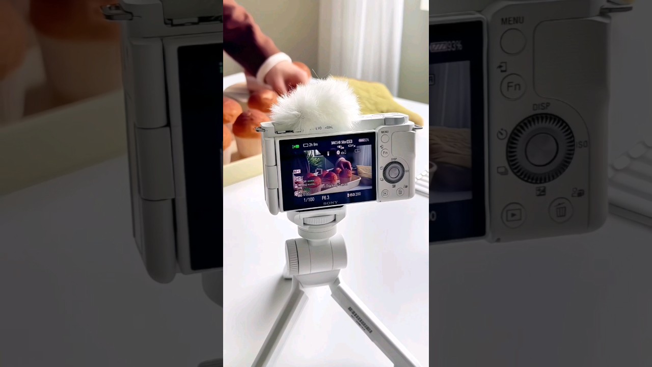 Sony Alpha ZV-E10 & 16-50mm Lens with Wireless Grip 📸