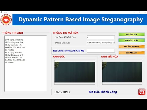 Dynamic Pattern Based Image Steganography Method