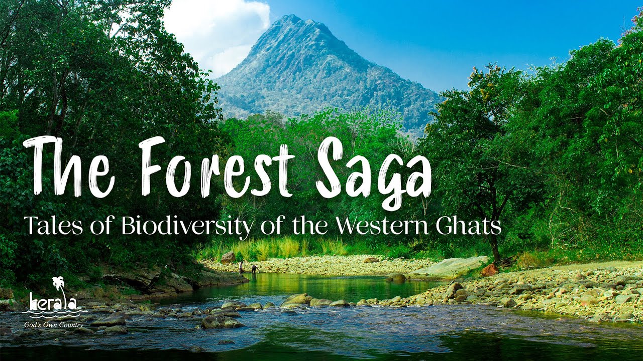 The Forest Saga: Biodiversity of Kerala's Western Ghats 🌿