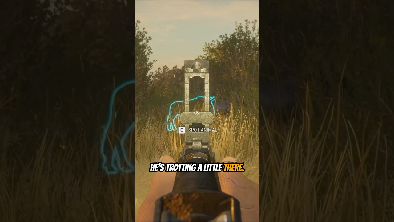 Lion Chases My Dream Diamond Wildebeest 🦁