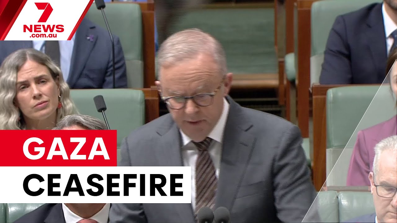 Israel-Hamas Agree on Gaza Ceasefire 🤝