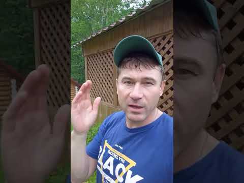 Едим и едем в Саратов!