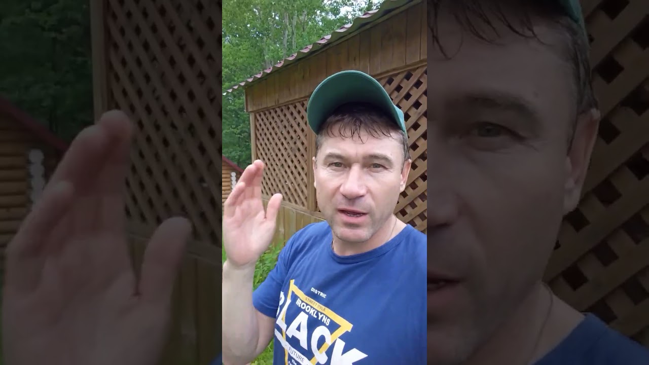 Едим и едем в Саратов!