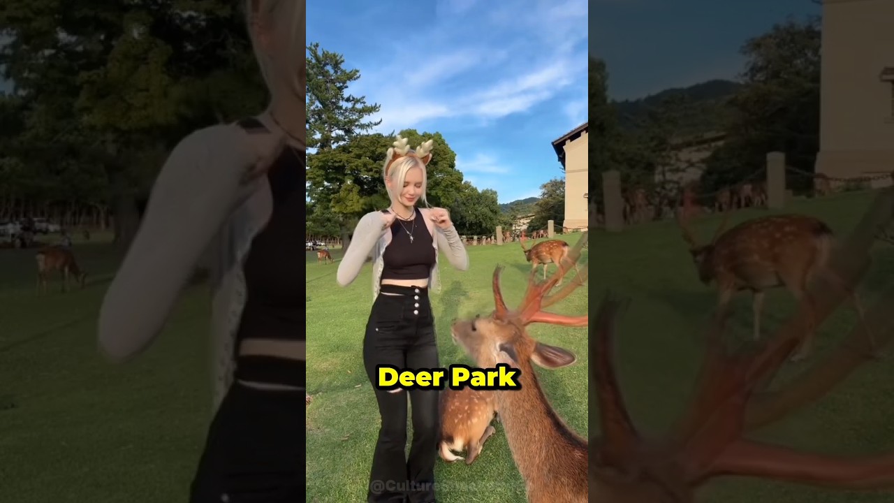 Possible Jail Time at Nara Deer Park 🦌