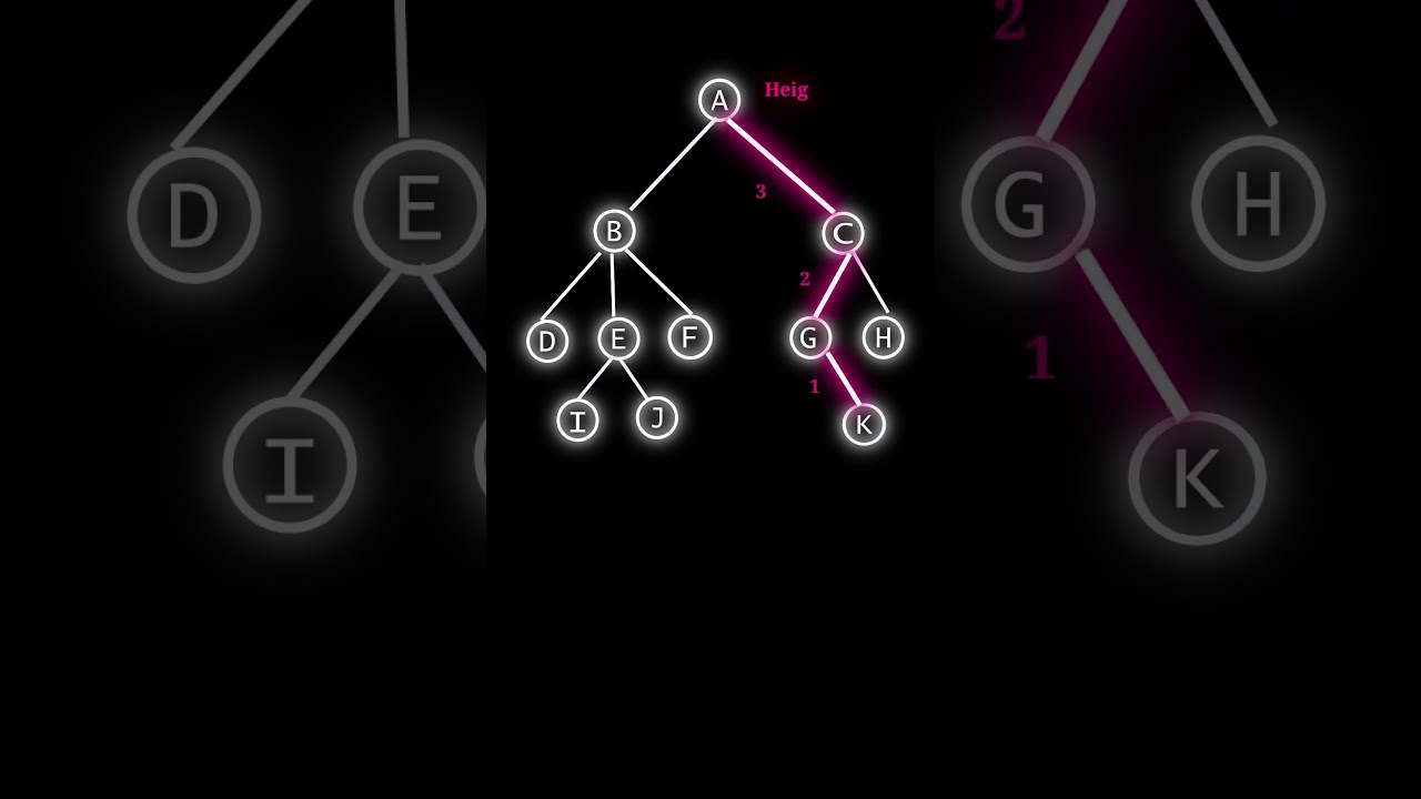 Learn Tree Height Calculation with Fun Visuals 🌳 | Easy DSA Tutorial