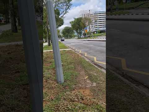 This is what the weather is like in Singapore this week #shorts #winter #gentingvibe #coolweather