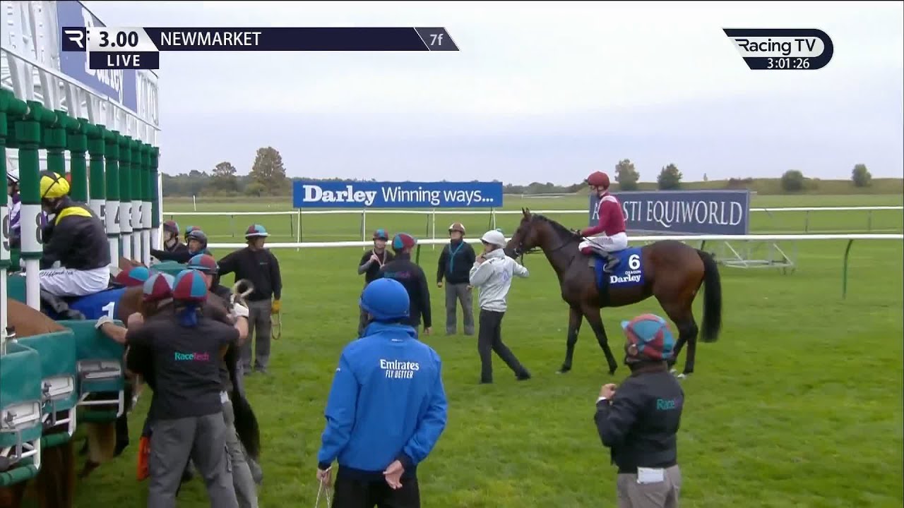 Shock Win at the Darley Dewhurst Stakes 🏇