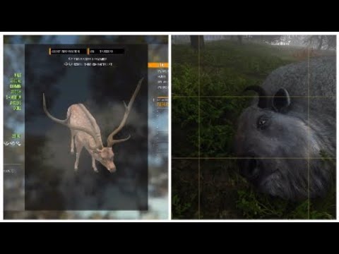 Huge Diamond axis deer and Insane rares