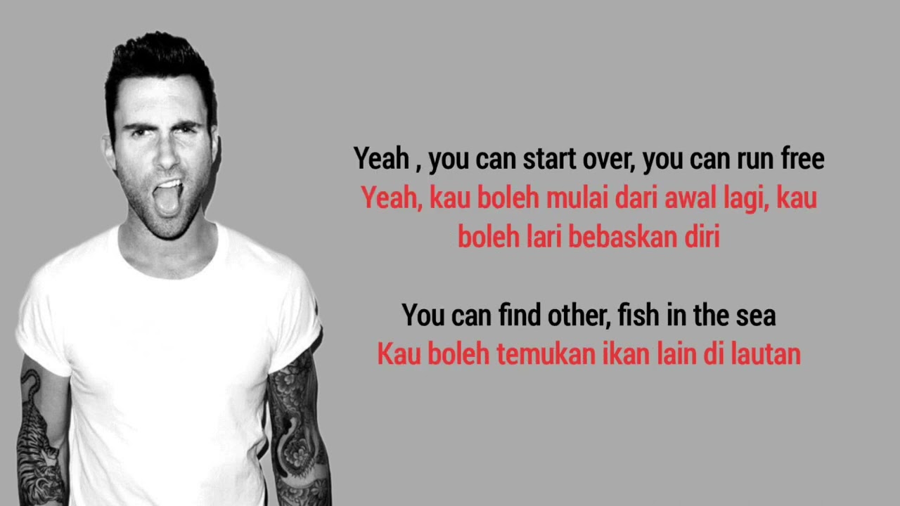 Animals by Maroon 5: Lyrics & Translation 🎶