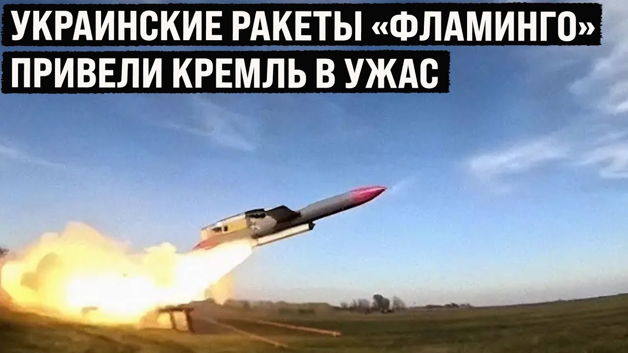 Украинские ракеты FP-5 «Фламинго» в серийное производство 🚀