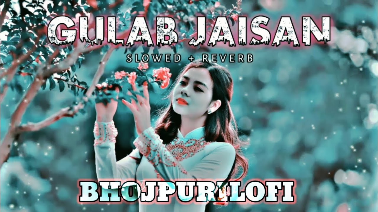 Gulab Jaisan Khilal Badu 🎶 (Slowed+Reverb) by Nilkamal Singh