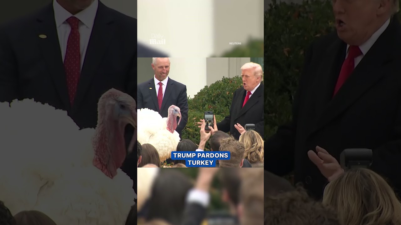 Trump Pardons Turkey at White House 🦃