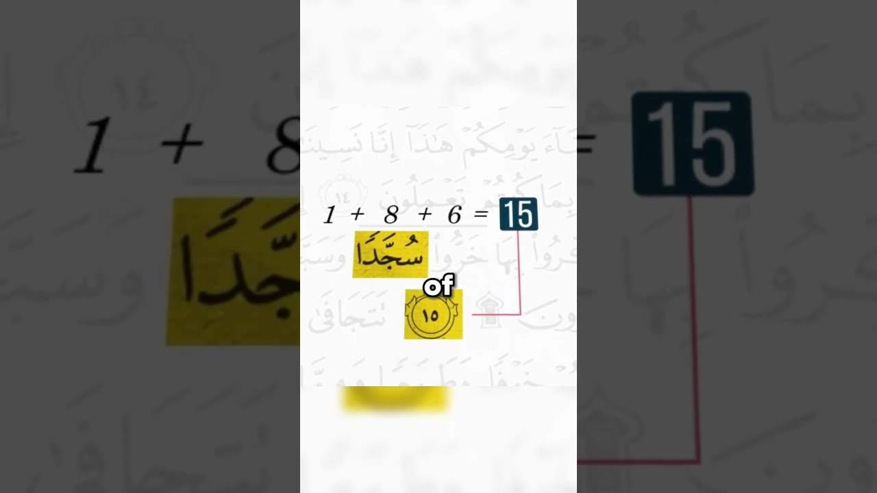 Discover the Miraculous Wonders of the Qur'an ✨