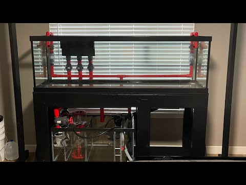 125 Gallon Reef Tank Build