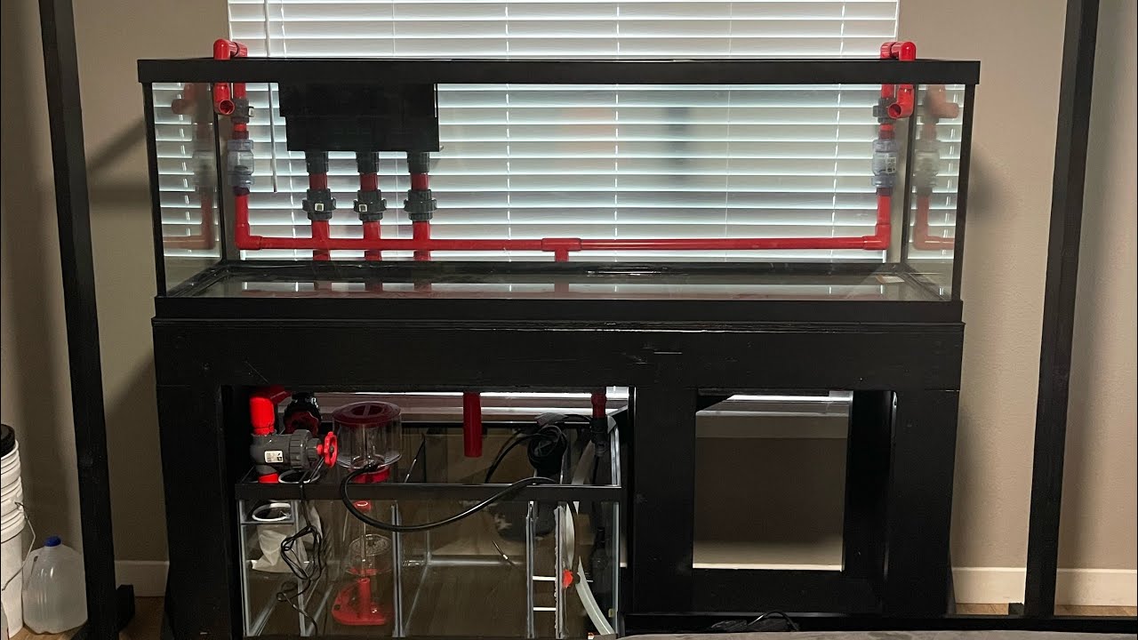 125 Ultimate 125-Gallon Reef Tank Build with Fiji Cube Overflow & Sump 🐠