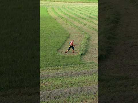 Scything 40 hectares ✅ (100 acres)