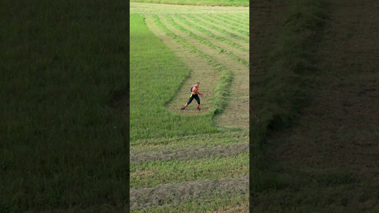 Impressive 40 Hectares (100 Acres) Mowed This Season! 🌾