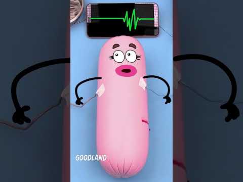 Did you know how a kebab is born?