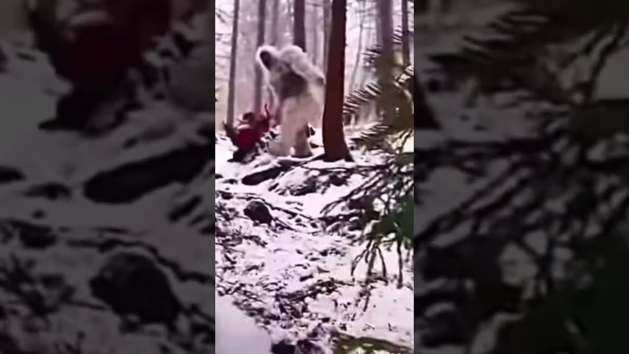 Hilarious Yeti Falls Down Hill with Mamot Bum Bum Sound in My Singing Monsters βοΈ