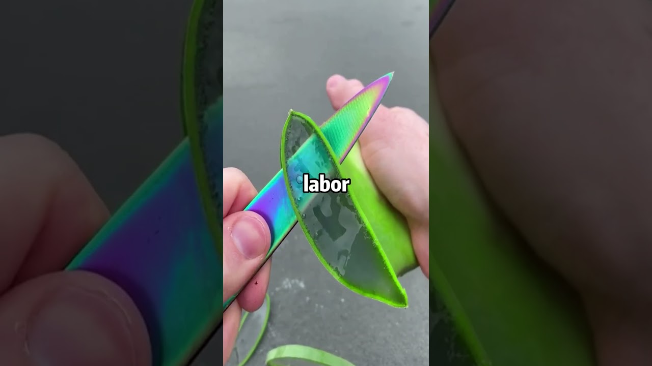 Most Insane Coincidence Ever 🤯