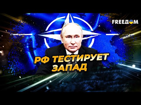 Агрессия РФ против Польши – НАМЕРЕННАЯ: Путин проверяет ЕС и НАТО
