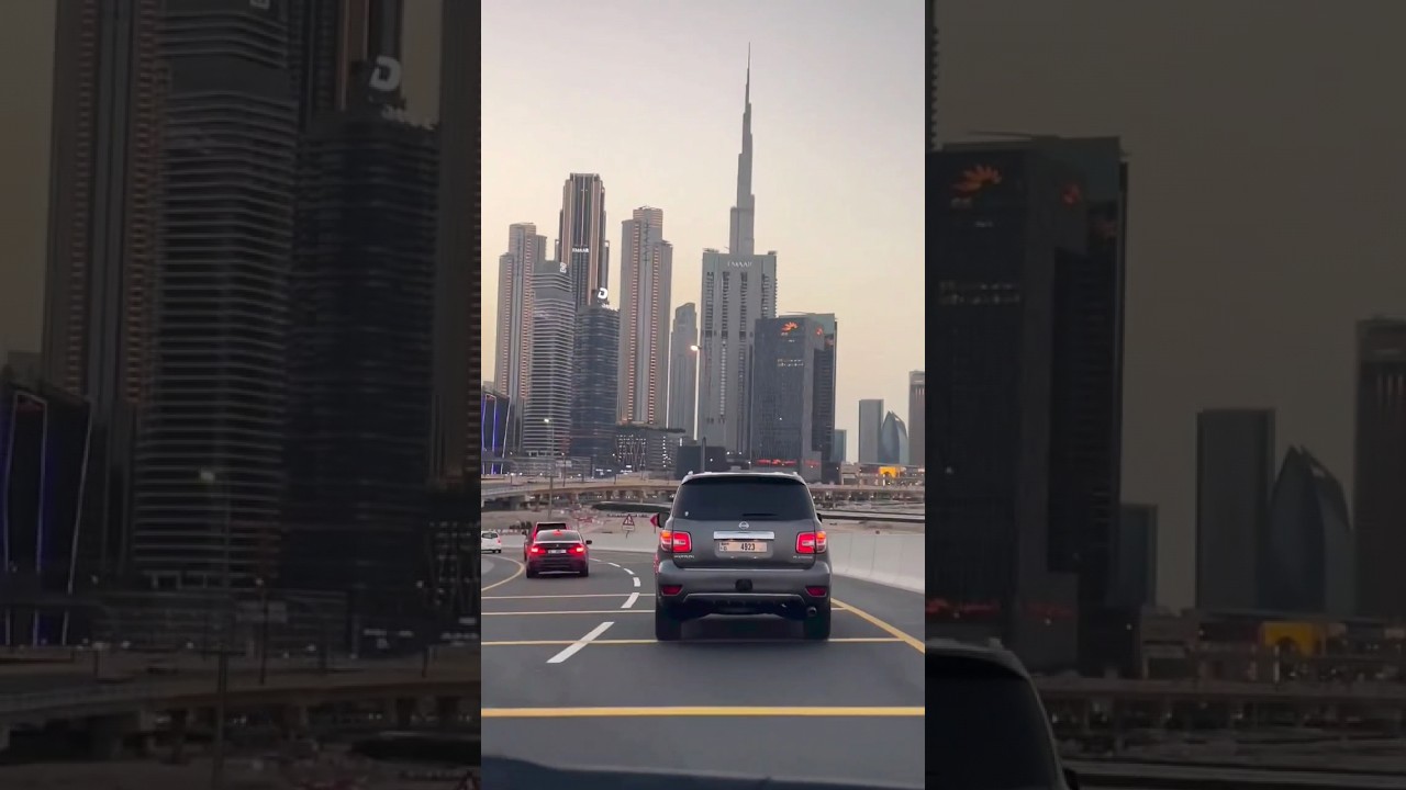 🔥 Habibi Albanian Remix | Viral YouTube Shorts with Falling Bird & More!