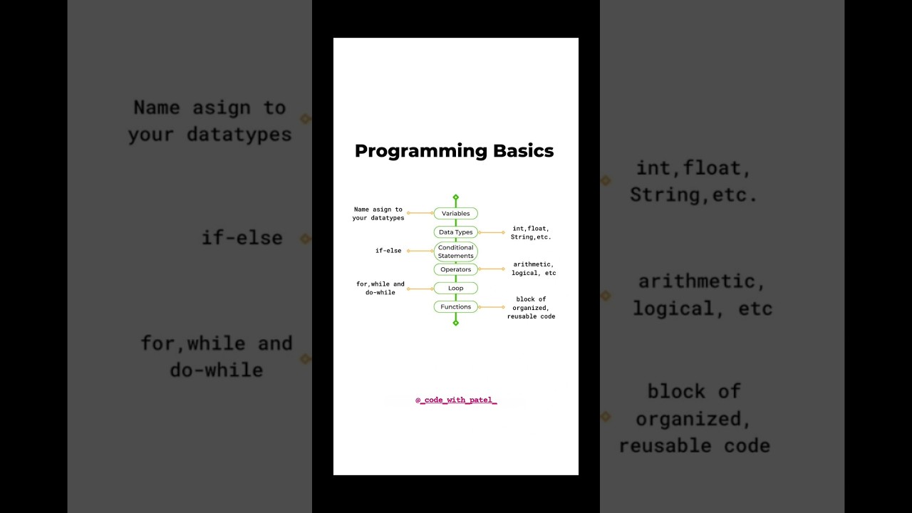 Programming Basics Explained in 1 Minute 🔥 | Variables, Data Types, Loops & Functions #programming