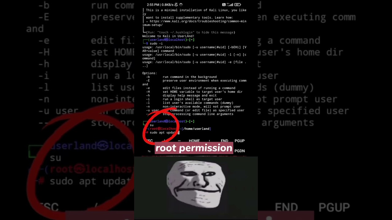 How to Install Kali Linux on Android Devices