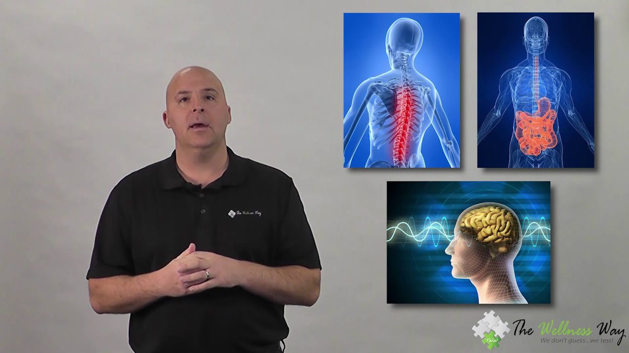 LDH Lab Results Explained | The Wellness Way 🧪