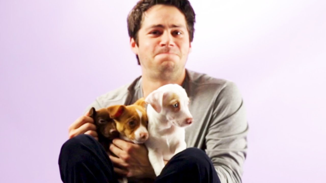 Dylan O'Brien Plays With Puppies 🐶