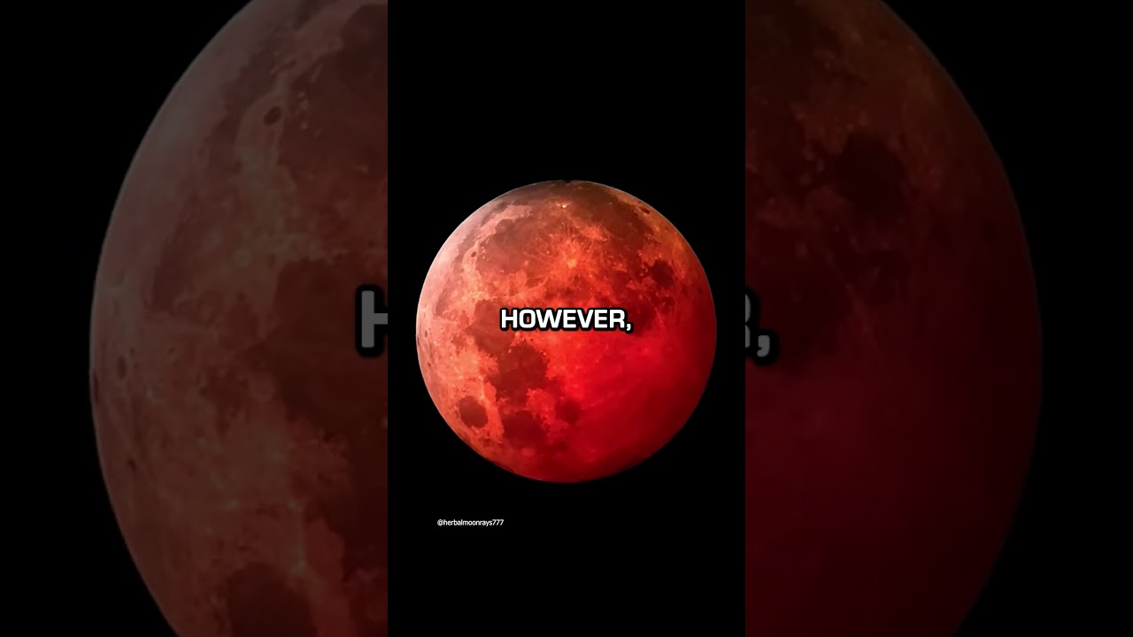 Blood Moon Causes Chaos Tonight 🌕