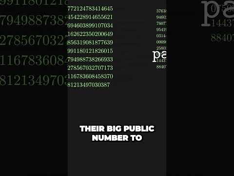 Unlocking the Secrets of RSA Encryption Privacy Made Possible