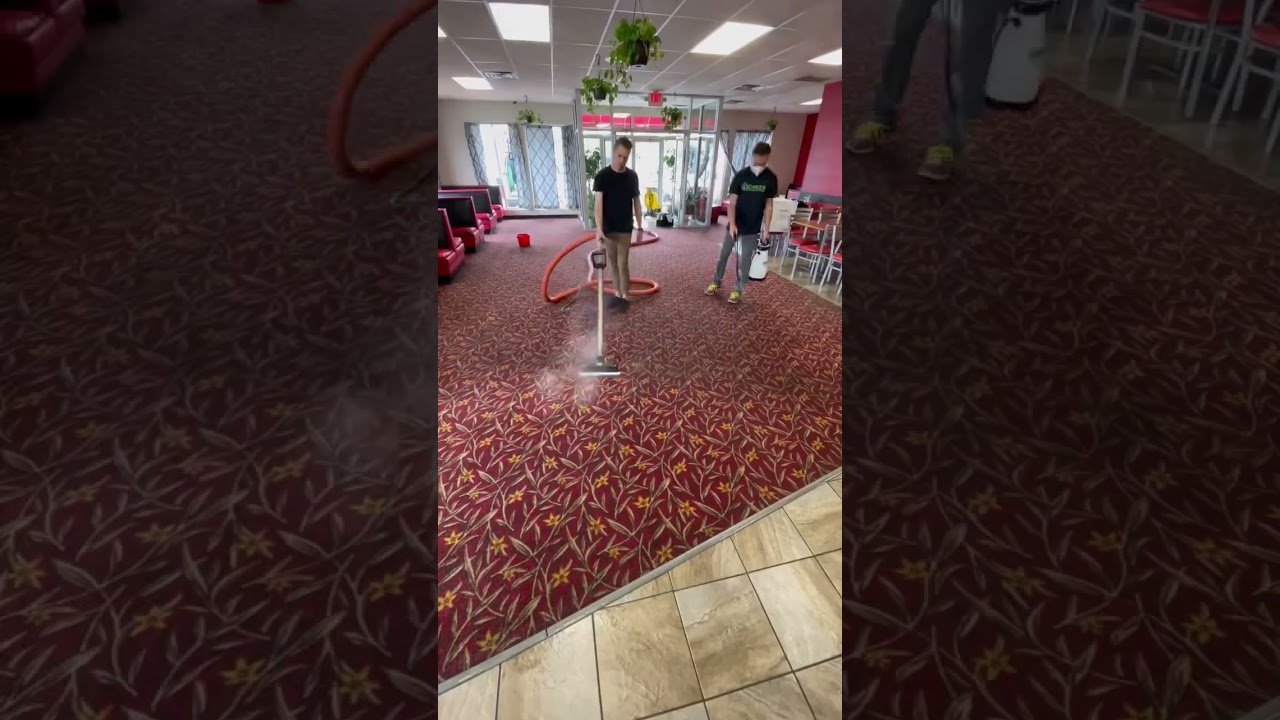 Stunning Carpet Cleaning Transformation ✨