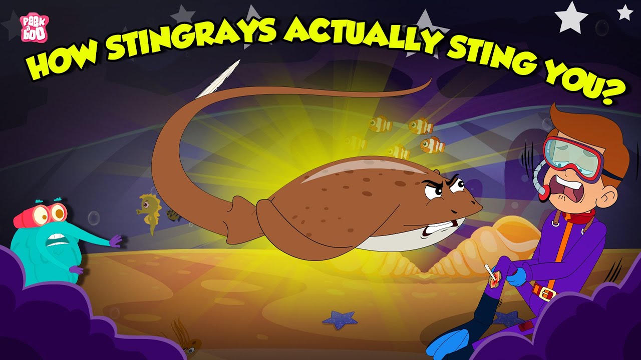 Stingrays' Defense: How They Sting & Survive 🦈