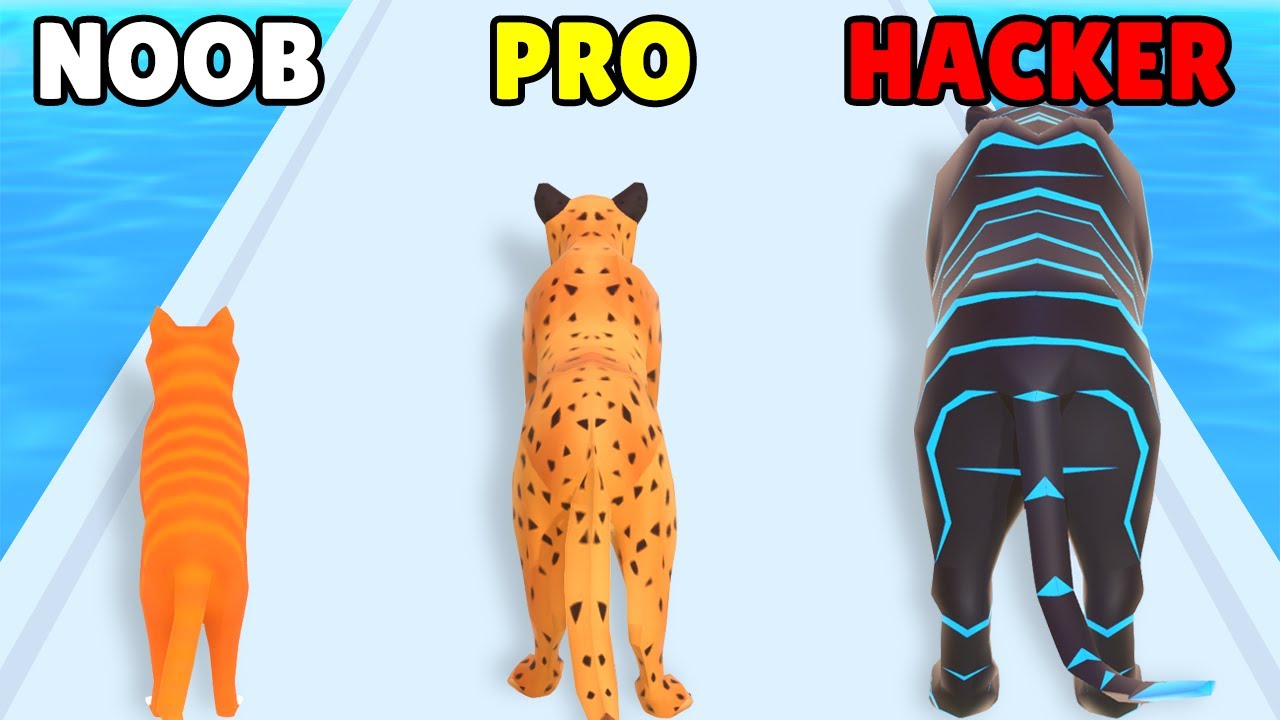 Noob, Pro & Hacker in Cat Evolution 🐱