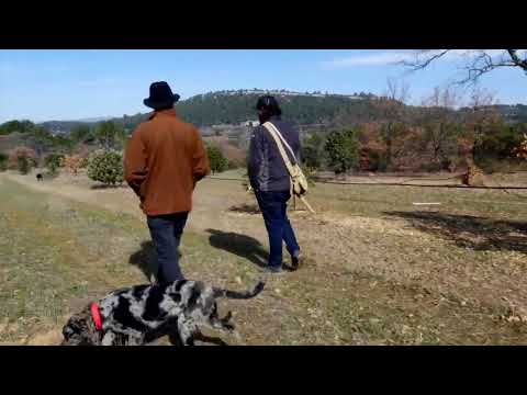 Die Kunst der Trüffelsuche