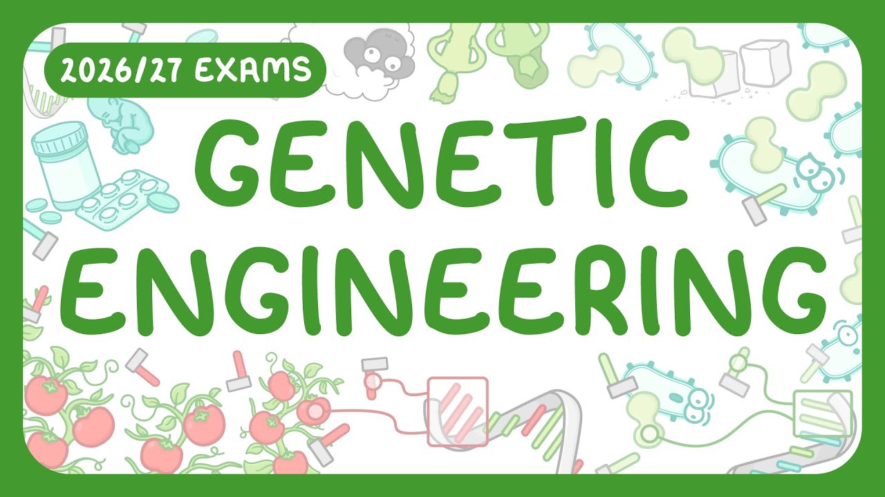 GCSE Biology: Genetic Engineering & GMOs (2026/27)