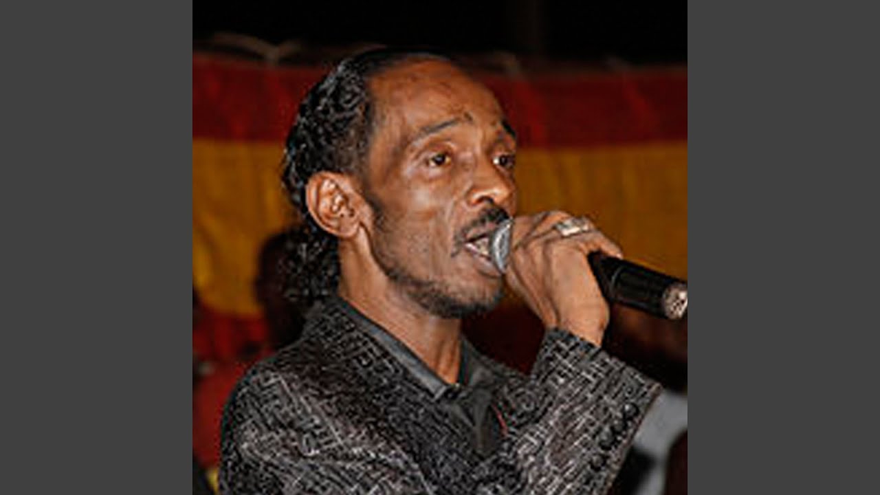 استمع إلى أغنية حليوة يا بسامة – محمود عبد العزيز الحجل 🎶