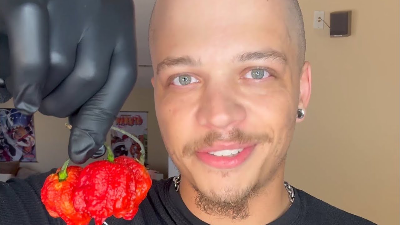 3 Three Fresh Carolina Reaper Peppers